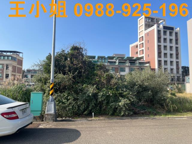 桃園觀音工業地-6