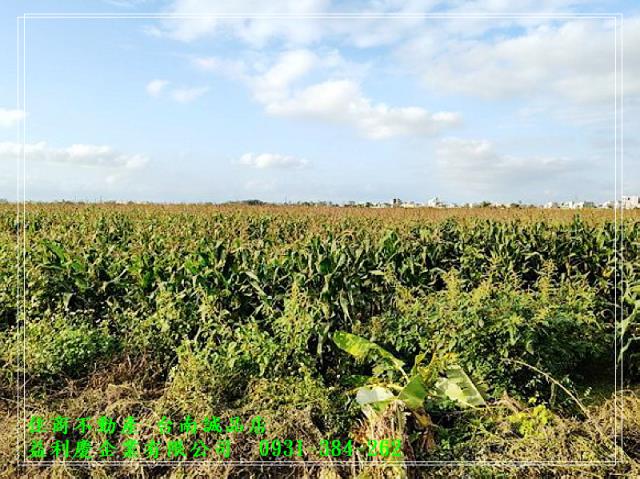 台南培倫房屋土地王