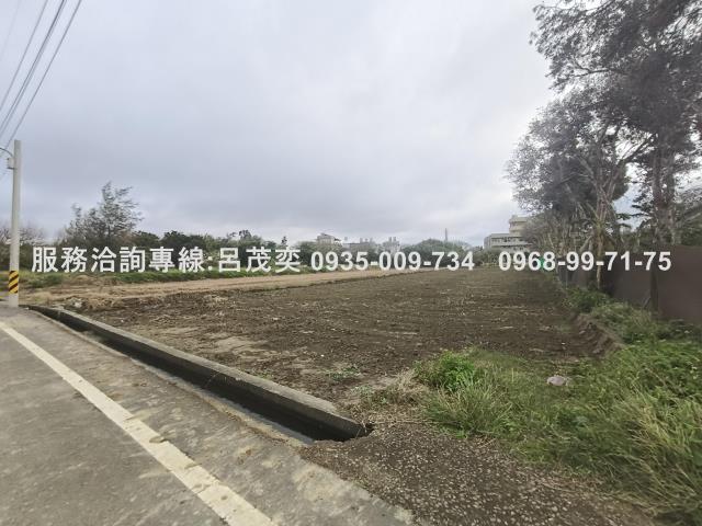 新屋農地-11