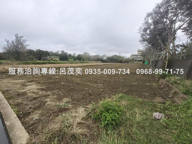 新屋農地-6