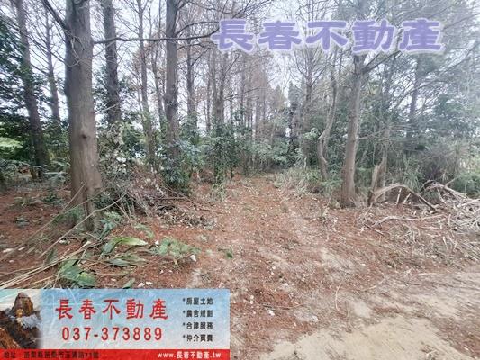 苗栗頭屋農地-10