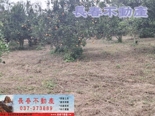 苗栗頭屋農地-2