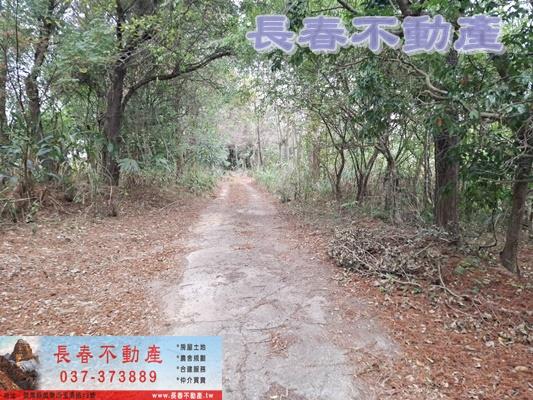 苗栗頭屋農地-8