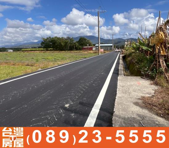 台東鹿野農地-11