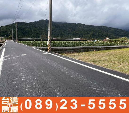 台東鹿野農地-13