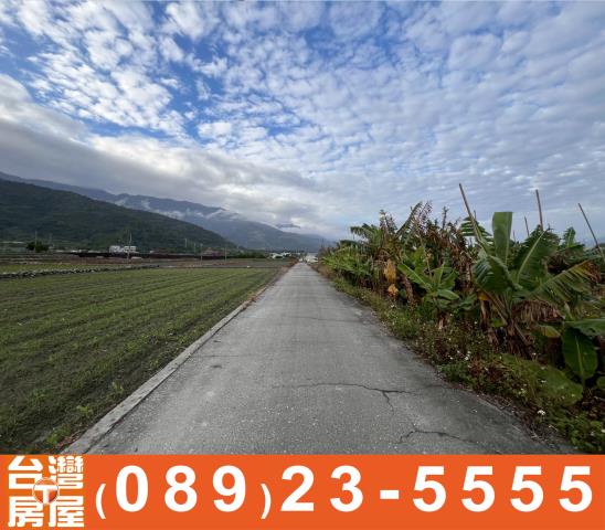 台東鹿野農地-14