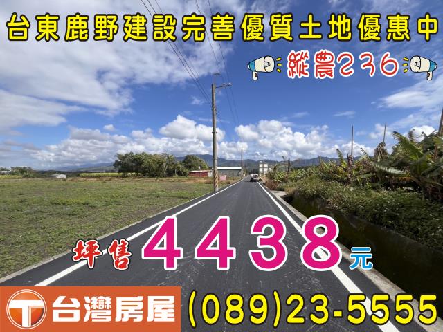 台東鹿野農地-15