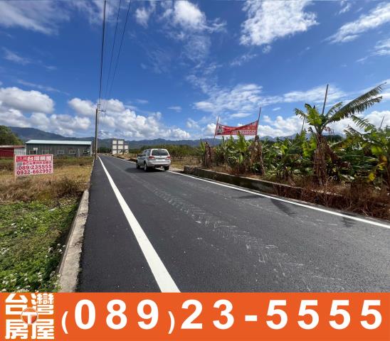 台東鹿野農地-6