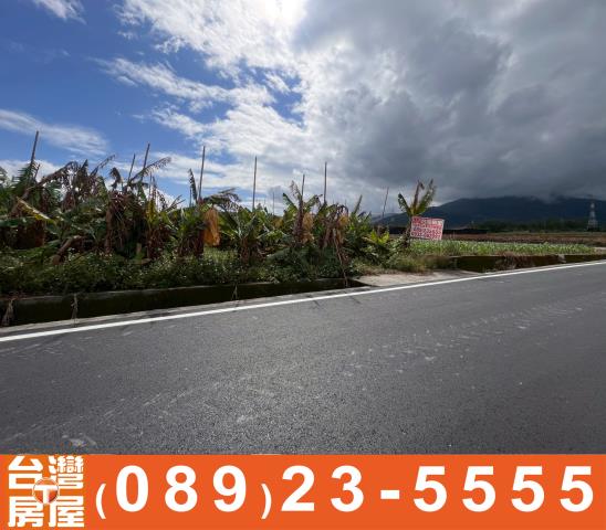 台東鹿野農地-7