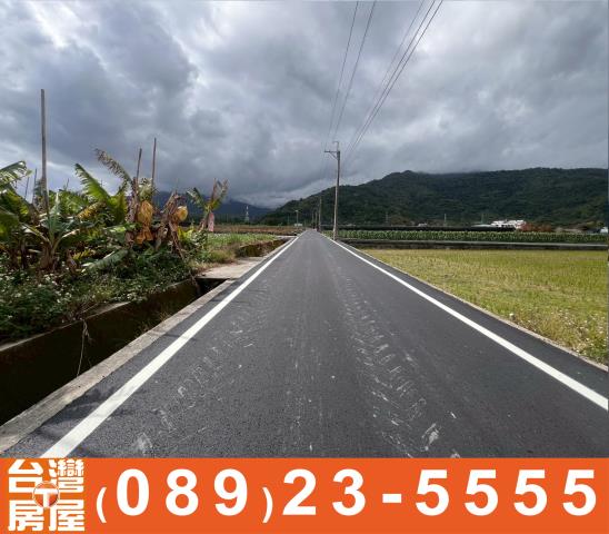 台東鹿野農地-9