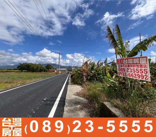 台東鹿野農地-10