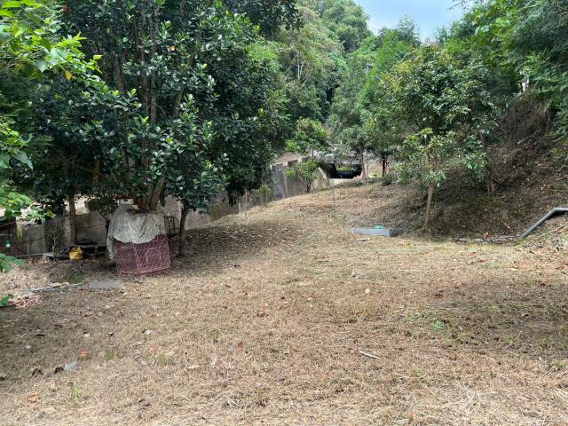 台中太平山坡地-11