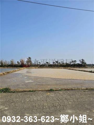 桃園新屋農地-2