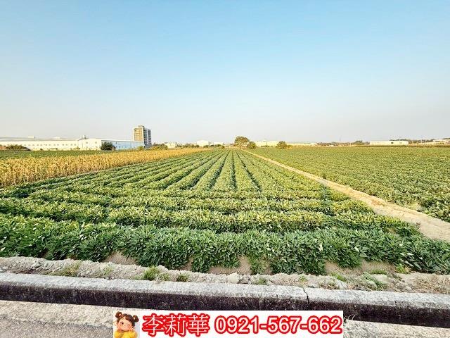 新化農地-4