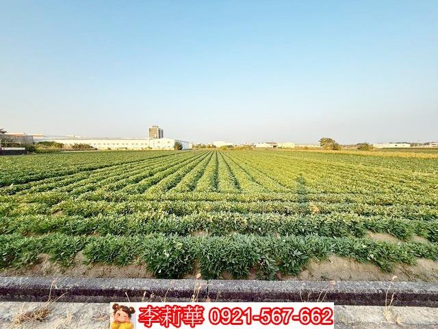 新化農地-5