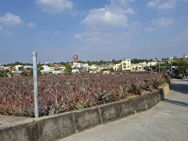 高雄農地-5
