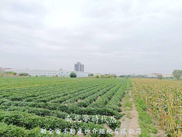 台南農地-2