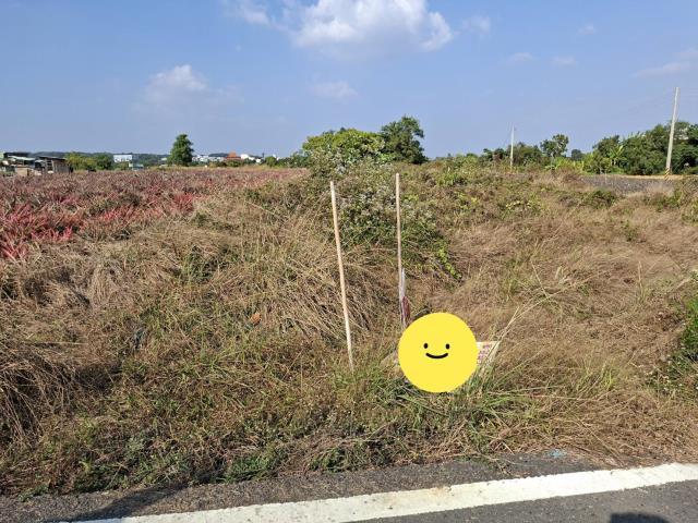 高雄農地-4