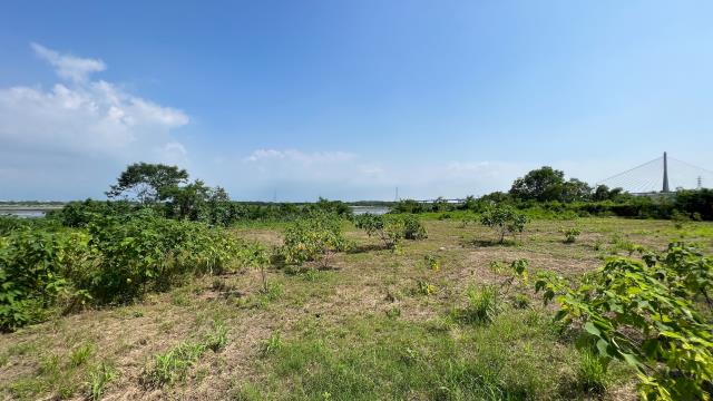 高雄旗山農地-2