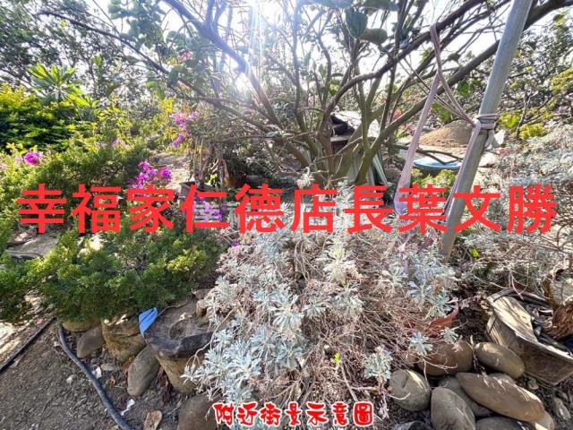 台南麻豆農地-12