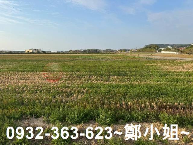 苑裡農地-13
