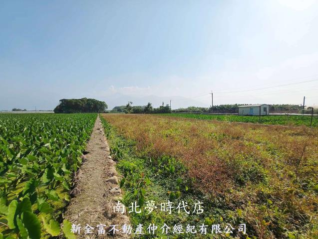 屏東農地-8