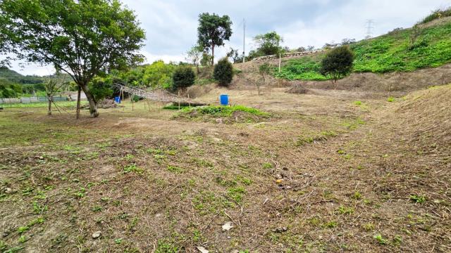 新竹北埔農地-12