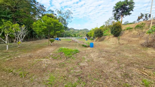 新竹北埔農地-15