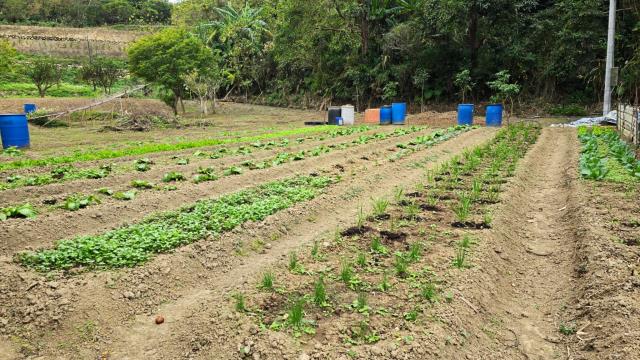 新竹北埔農地-2