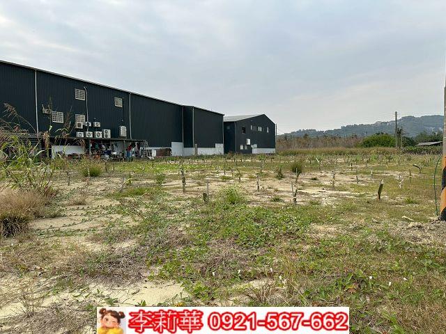 燕巢農地-6