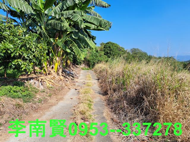 台南農地-3