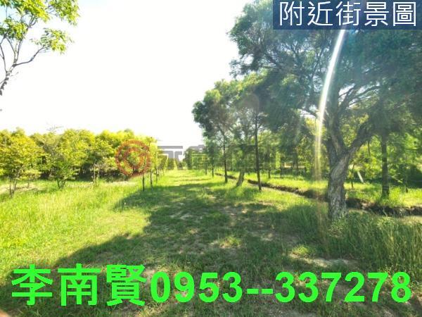 台南農地-3