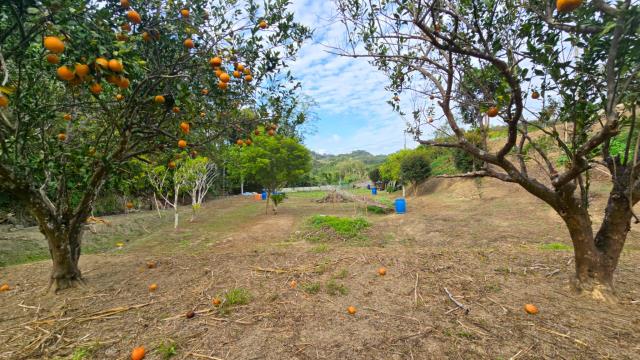 新竹北埔農地-15