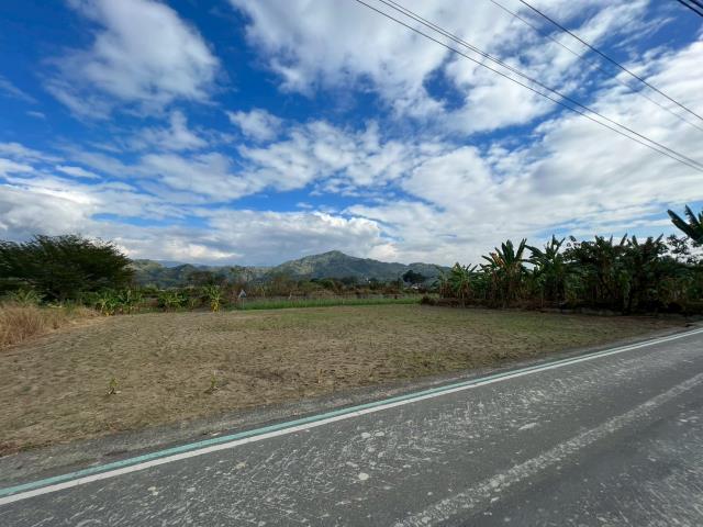 高雄美濃農地-8