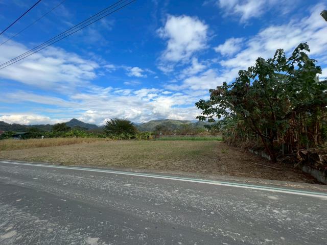 高雄美濃農地-9