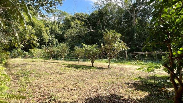 新竹峨眉農地-12