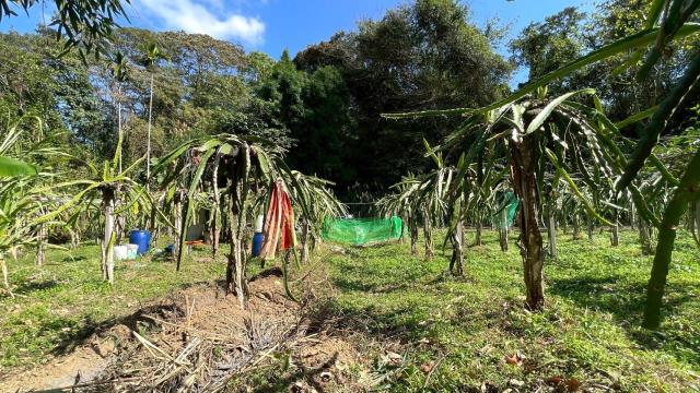 新竹峨眉農地-5