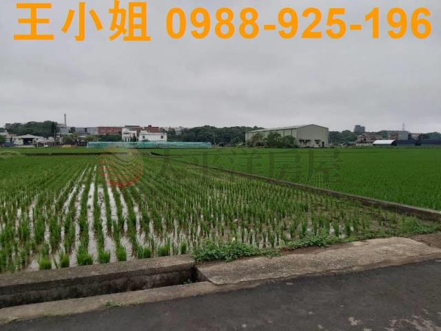 桃園楊梅農地-2