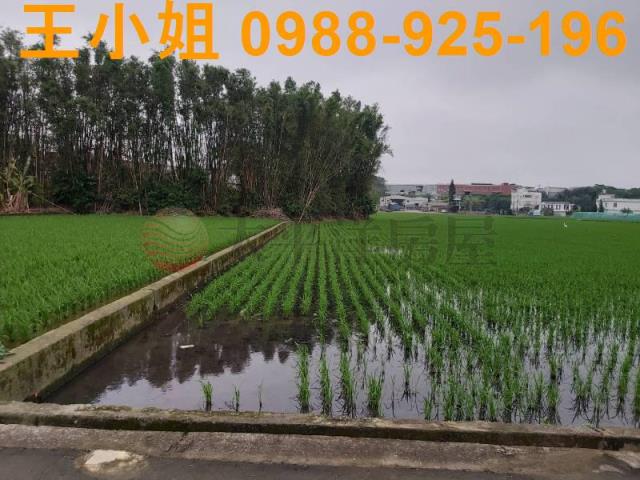 桃園楊梅農地-4