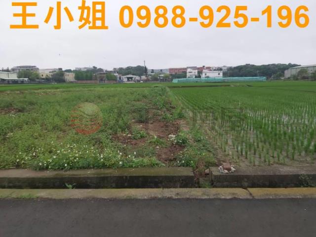 桃園楊梅農地-6