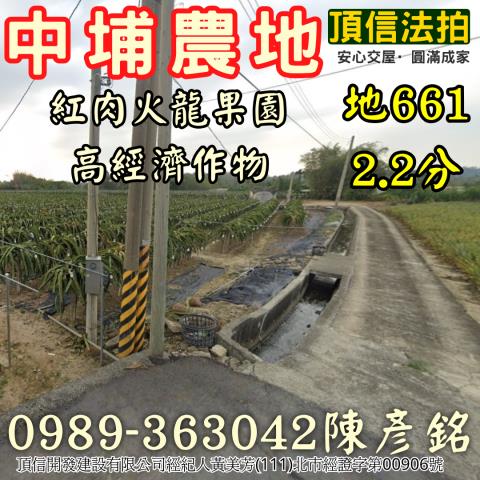 中埔法拍農地-1