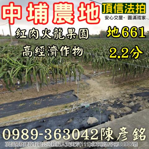 中埔法拍農地-2