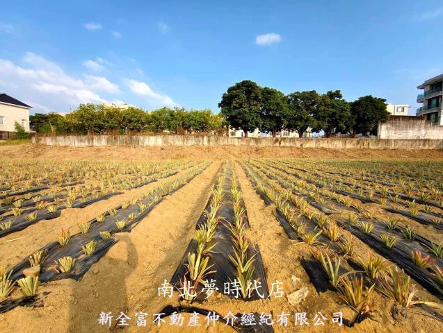 台南關廟農地-1