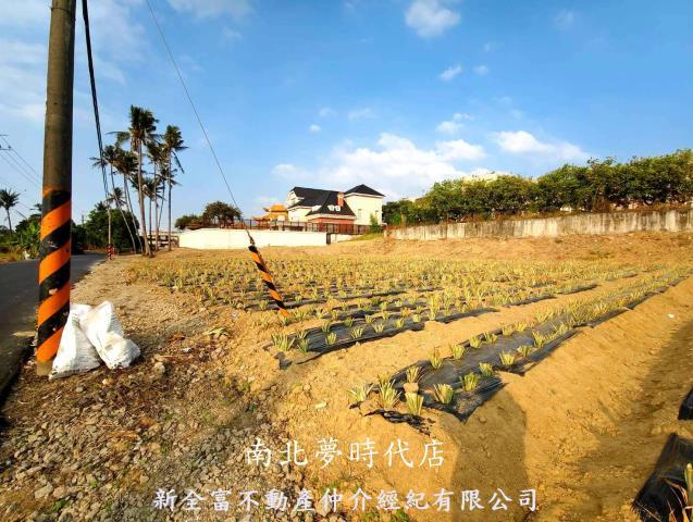台南關廟農地-5