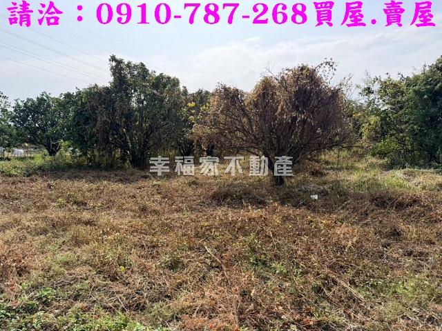 台南麻豆工業地-6