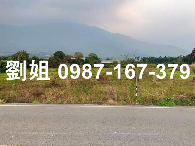 屏東高樹農地-2