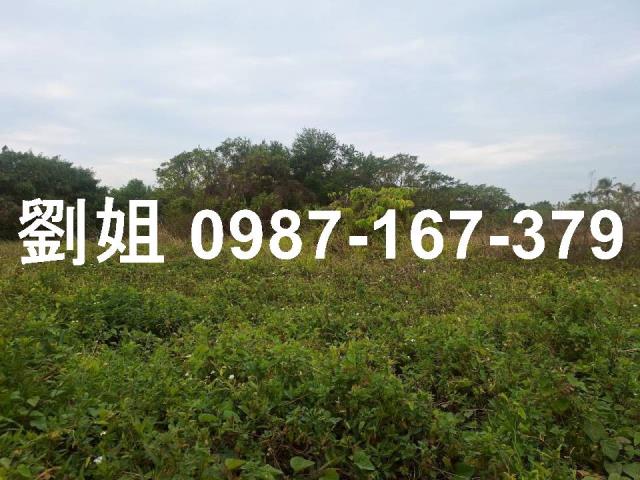 高雄永安農地-1