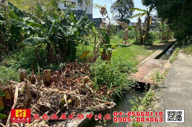 台中大雅農地-1