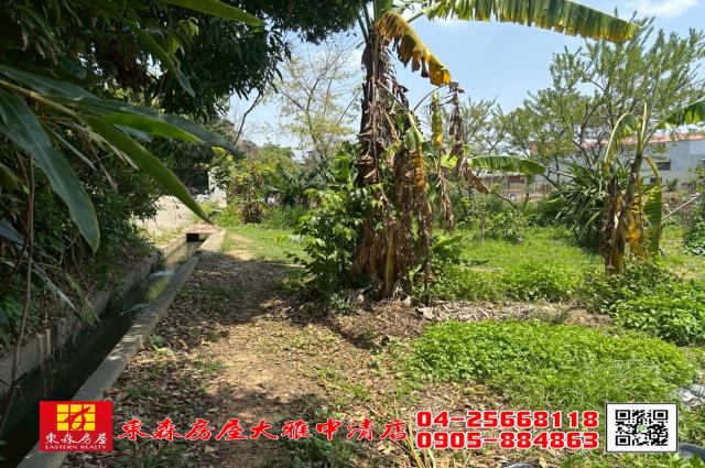 台中大雅農地-7