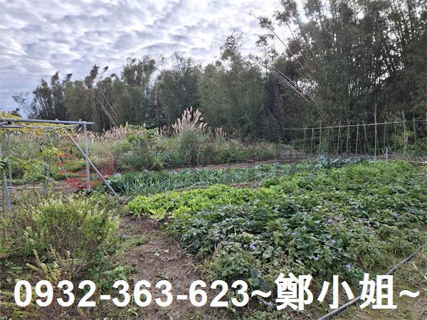 桃園大溪農地-5